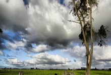 杨瀚(hàn)森结束NBA夏(xià)季聯(lián)赛 将回国备战亞(yà)洲杯