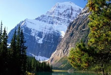 尼克斯换帅风波:卡尔-安东尼·唐斯为何再成焦点?