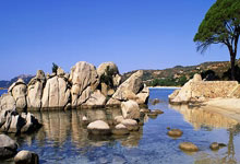 德州市房管中心举办经典诵读比赛